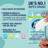 Wet Ones Be Gentle antibacterial hand wipes x 12 (British brand)