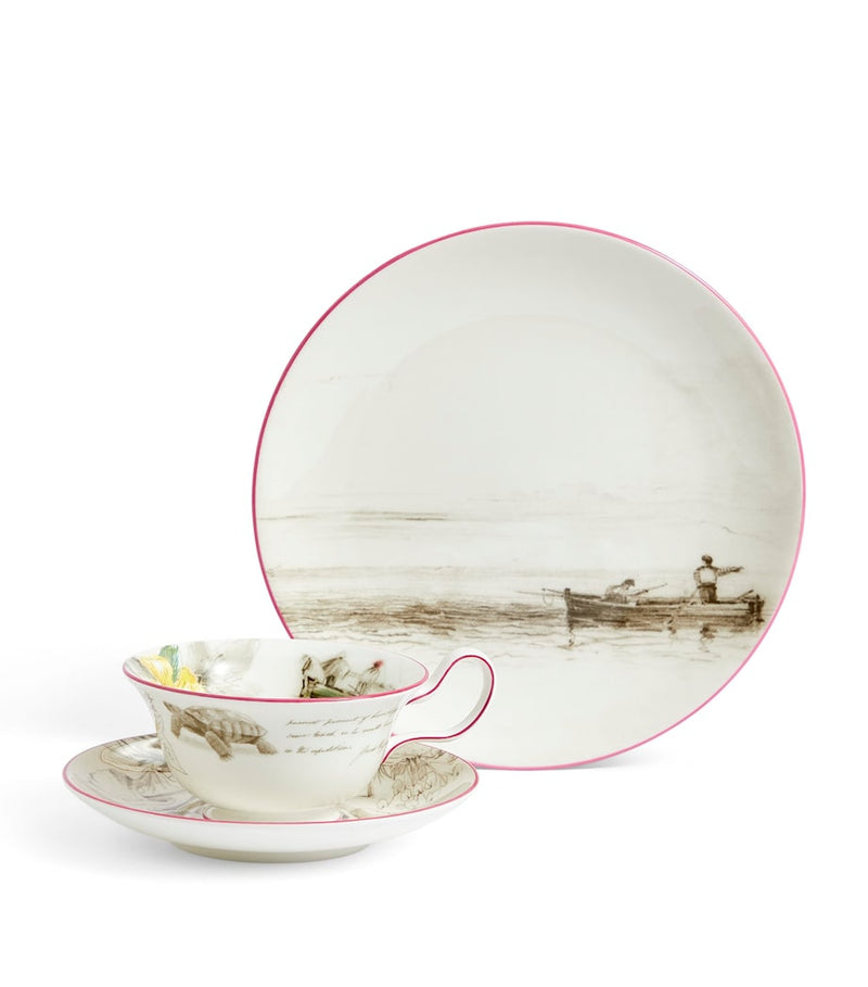 Wedgwood Voyage of the Beagle Galapagos Islands plate, teacup and saucer set (British brand)