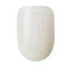 DNR Kiss Oval Nail Cover Kit 100pcs - British product