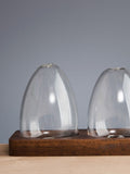 Artisan Street glass salt and pepper shakers in wooden base - British product