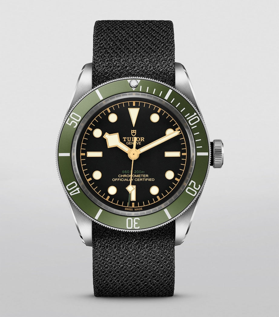 TUDOR Black Bay Harrods Exclusive automatic watch 41mm (British brand)