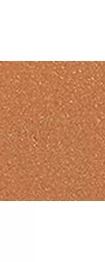 Charlotte Tilbury Unreal Skin Foundation Stick - McGrocer