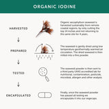 Together Organic Seaweed Iodine Supplement   30 per pack GOODS M&S   