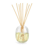 Glass Reed Diffuser Vessel 2 Litre Capacity