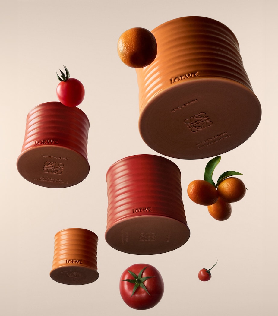 LOEWE Orange Blossom candle 4.85kg, UK version