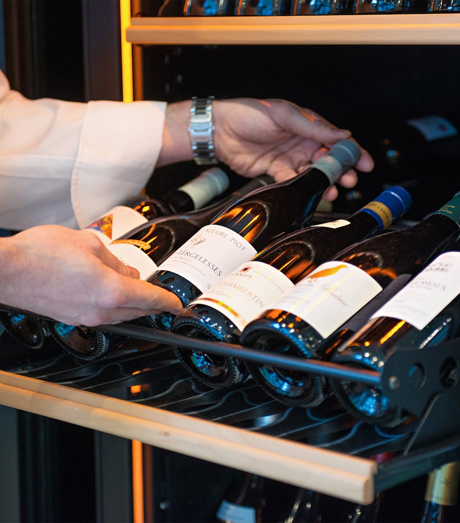 Eurocave Large Pure Wine Cabinet - British product