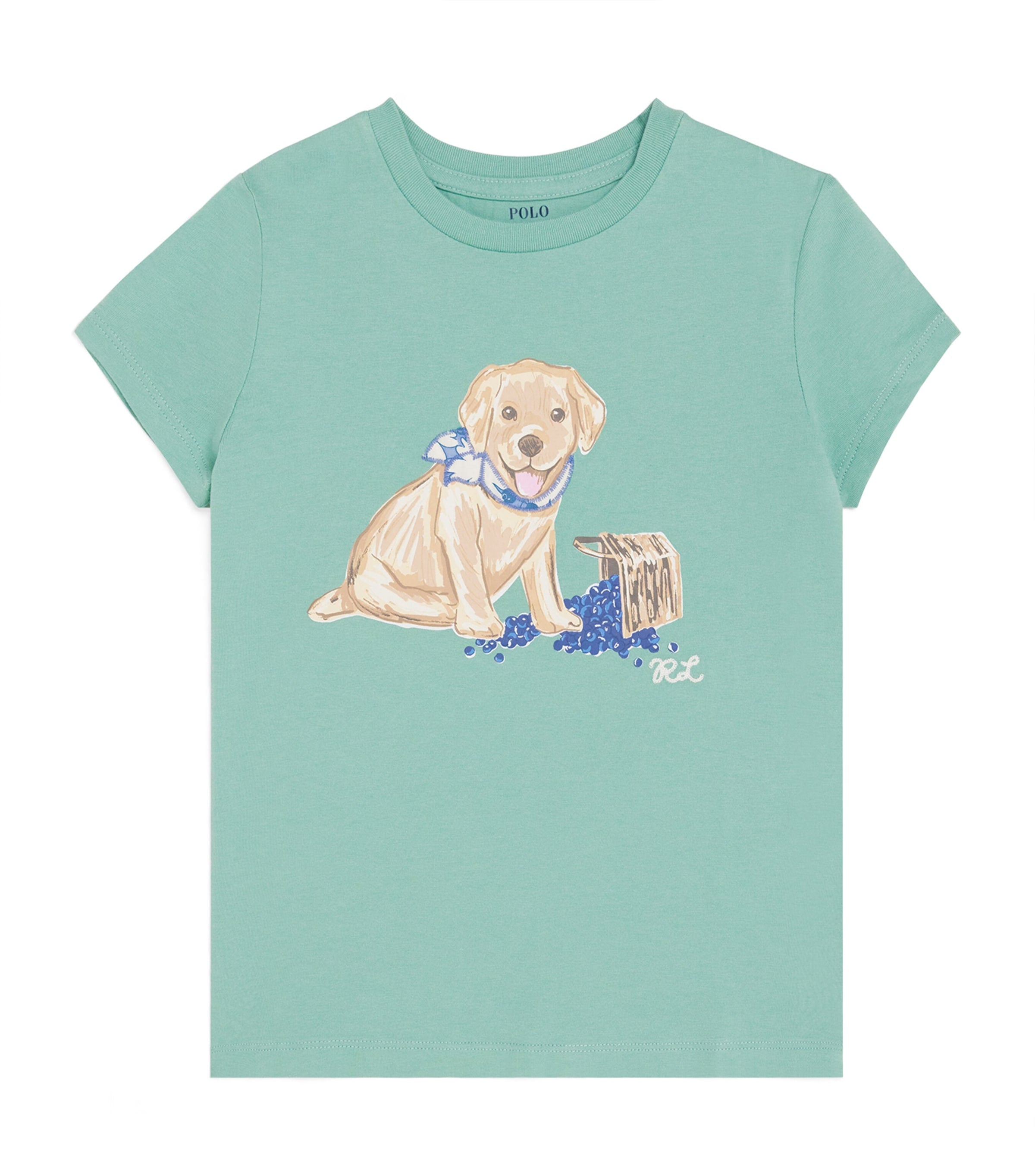 Ralph Lauren Kids Cotton Printed T-Shirt 2-6 years, imported from the UK
