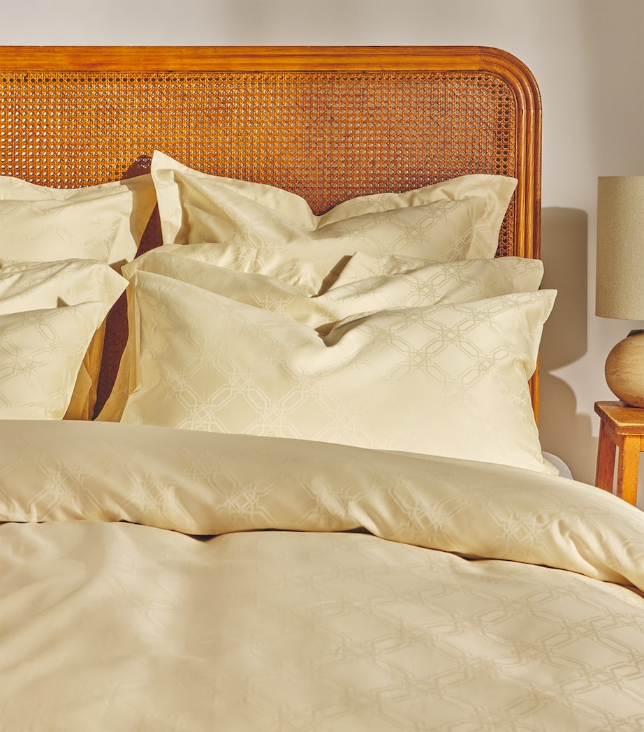 Harrods of London Halsey king duvet cover set with pillow cases, UK version