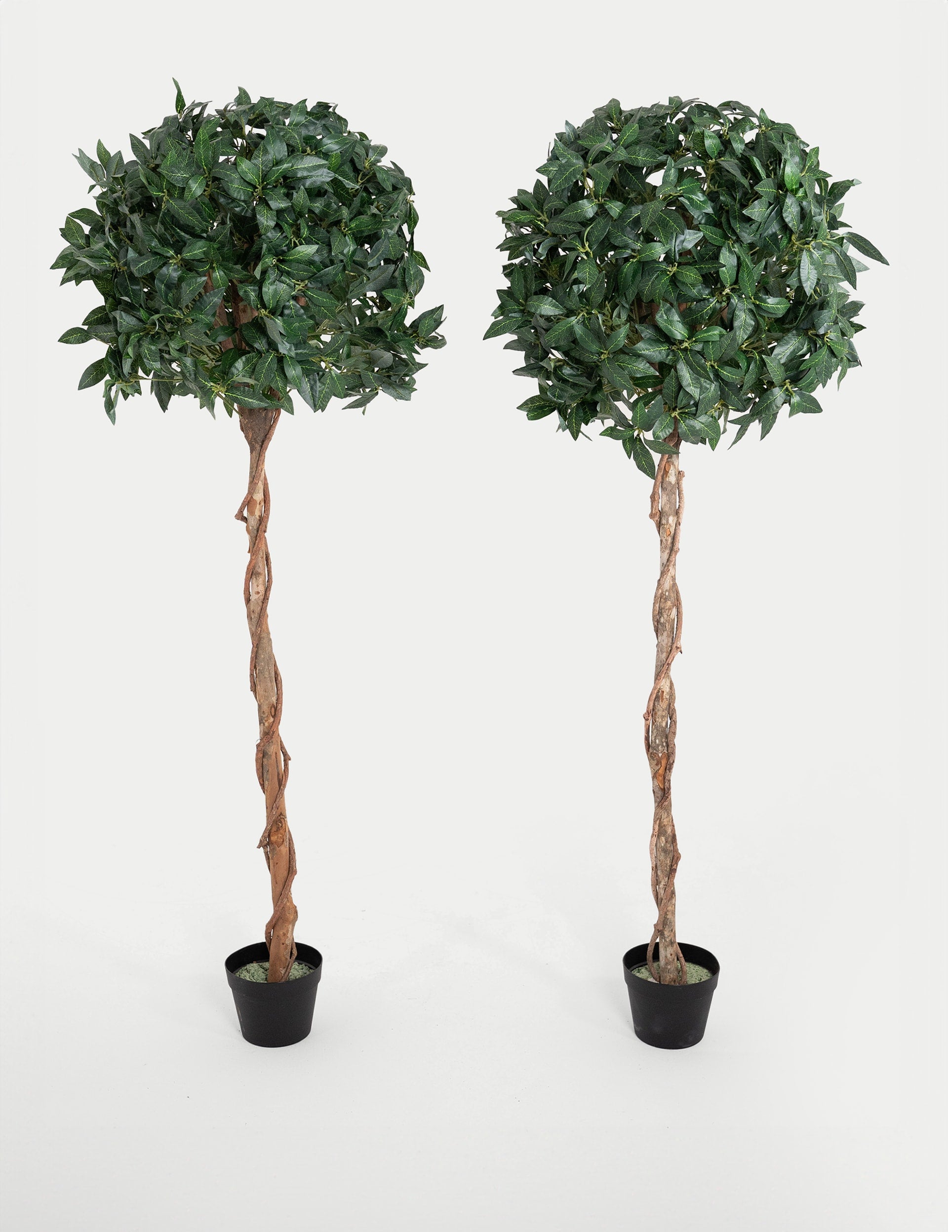 BLOOMA artificial bay trees 5ft set of 2 (British brand)