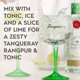Tanqueray Rangpur Gin   70cl GOODS M&S   