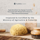 Hydrea London Mediterranean sea sponge 5.5-6 inch, UK version
