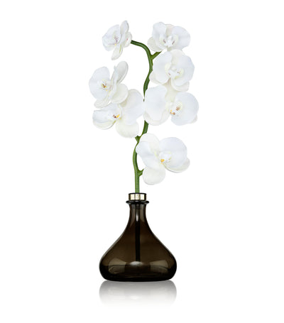 Senti The Orchid Amber and Oud Reed Diffuser 250ml