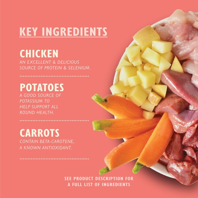 Lily's Kitchen puppy recipe with chicken wet dog food 150g, UK version