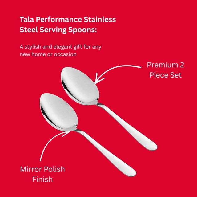 Tala stainless steel serving spoons set of 2 (British brand)