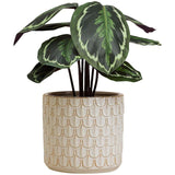 M&S medium white ceramic planter with scalloped texture, imported from the UK