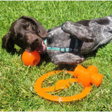 Bionic Bone Large dog chew toy 15cm - British product