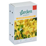 Sainsburys Garden Narcissi Tete a Tete x10
