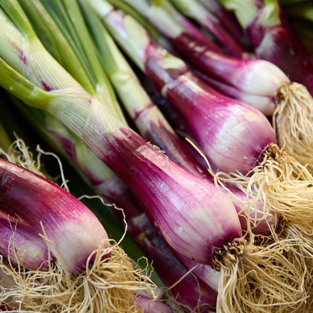 Natoora Fresh Tropea Onions 200g, imported from the UK