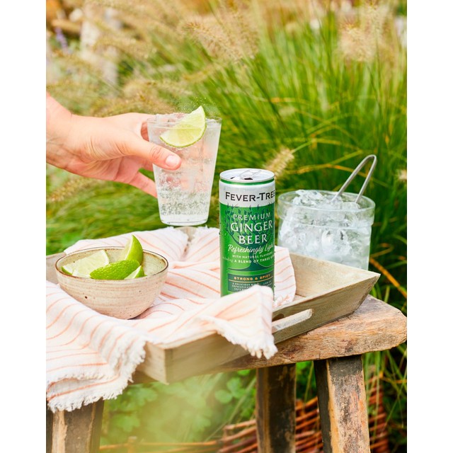 Fever-Tree Light Ginger Beer 4 x 250ml cans - British product
