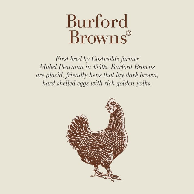 Clarence Court Burford Brown Very Large Eggs 6 Pack - British product