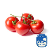 Natoora Sicilian vine ripened tomatoes 350g, imported from the UK