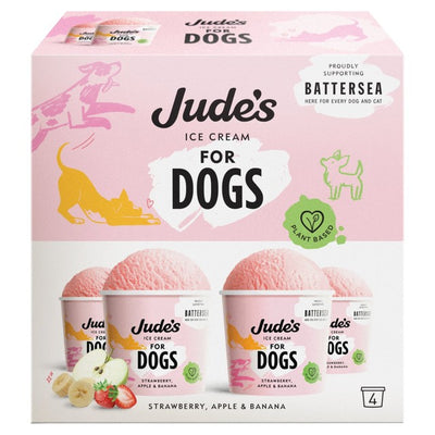 Jude's Plant Based Strawberry, Apple & Banana Dog Ice Cream 4 x 90ml