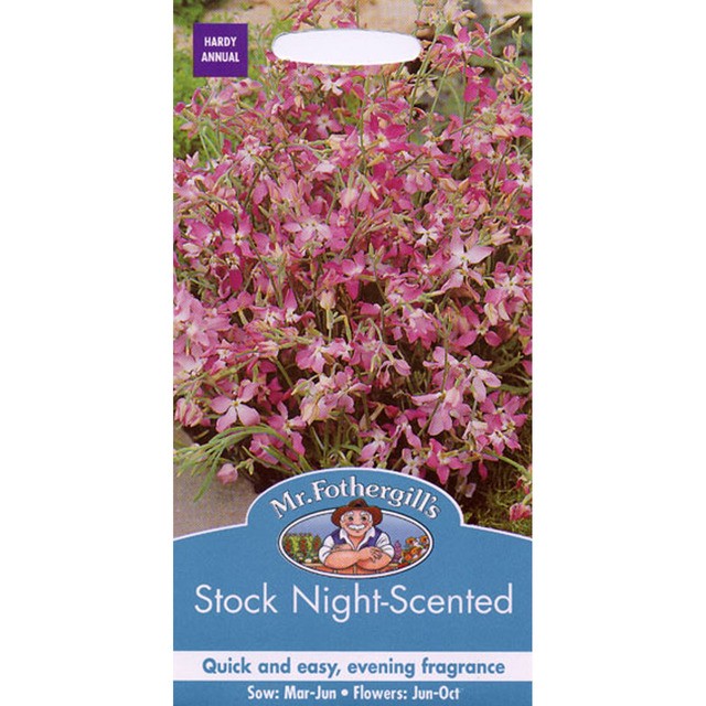 Mr Fothergill's Seeds Stock Night Scented Seeds, imported from the UK