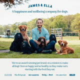 James & Ella beef dog food 100g, UK version