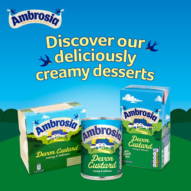Ambrosia Devon custard 500g carton - British product