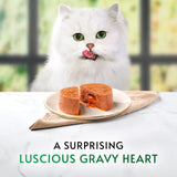 Gourmet wet cat food chicken 85g, UK version