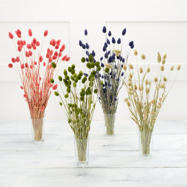 Long-Lasting Dried Phalaris Flowers Bouquet for Home Decoration