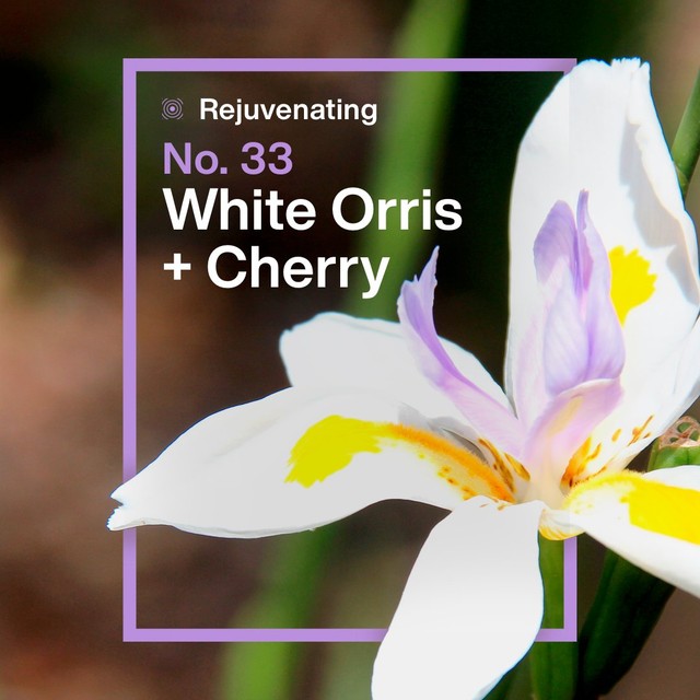 INEOS White Orris Cherry Roll On Deodorant Refill 50ml, UK version