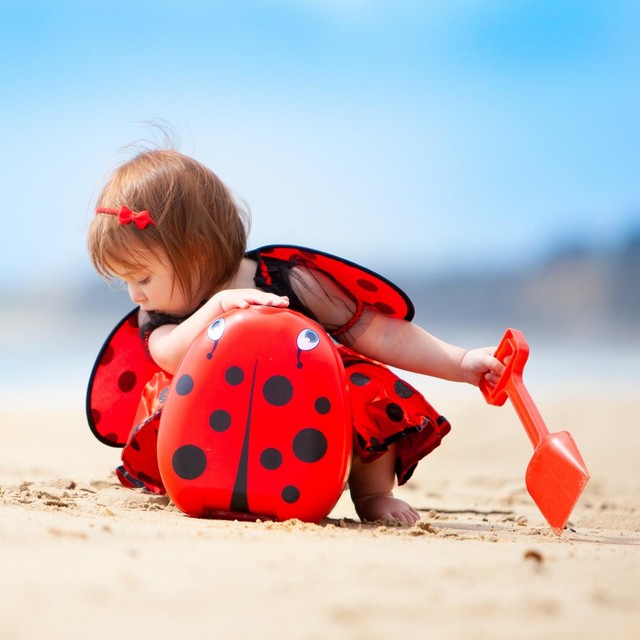 My Carry Potty Ladybird potty, imported from the UK