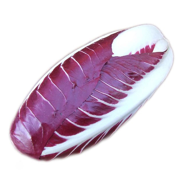 Natoora Italian Radicchio Trevisano 300g, imported from the UK