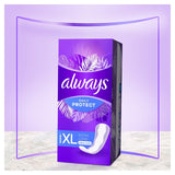 Always Dailies Long Plus panty liners 24 pack - British product