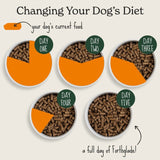 Forthglade dog food turkey with sweet potato 2kg - British product