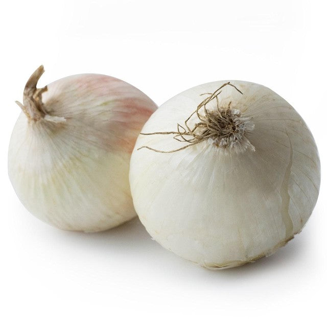 Natoora white onions 2 per pack, imported from the UK