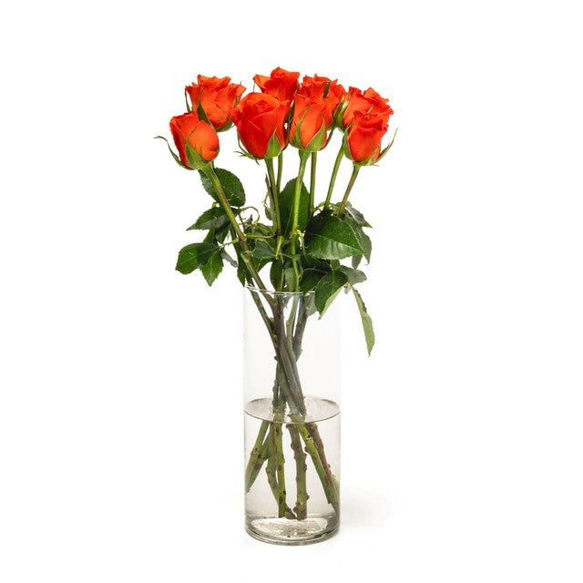 MM Flowers orange roses 8 stems 40cm, imported from the UK