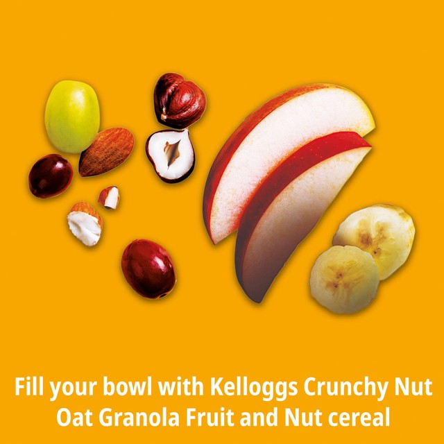 Kellogg's Crunchy Nut Fruit & Nut granola 380g, UK version