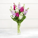 Fresh Flower Bouquet with 5-Day Guarantee