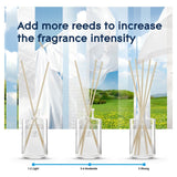Glade Clean Linen reed diffuser 50ml, UK version