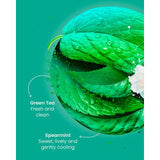 Good Earth Teabags Moroccan Mint & Green Tea