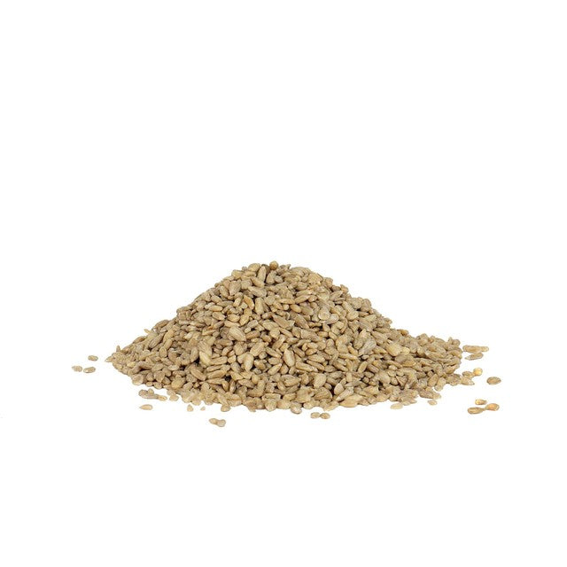 Peckish Sunflower Heart Bird Feeder, imported from the UK
