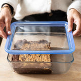 Pyrex Zero Plastic glass storage container 1.6L, imported from the UK