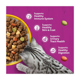 Whiskas dry cat food with chicken 7kg (British brand)