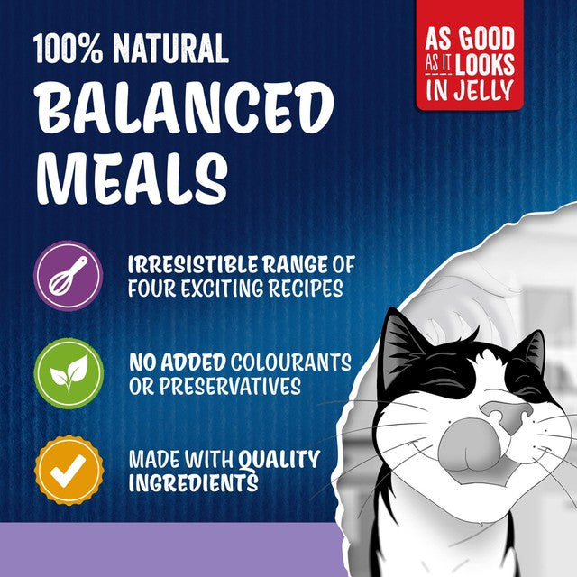 Felix wet cat food Favourites Selection 12 x 85g - British product
