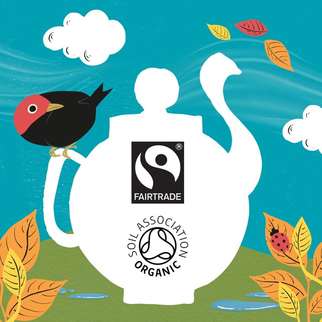 Clipper Fairtrade Everyday Tea Bags 80 Bags - British product