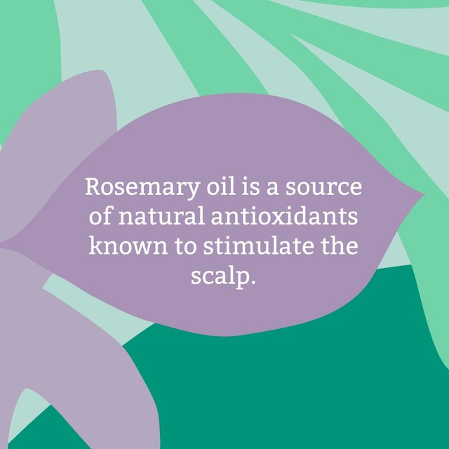 Faith In Nature rosemary conditioner 1L - British product