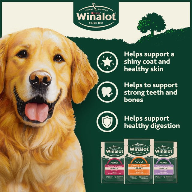 Winalot Sunday Dinner Mixed in Gravy wet dog food 12 x 100g pouches (British brand)