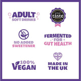 Genie Blueberry & Raspberry Kombucha 330ml, UK version